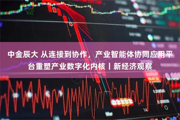 中金辰大 从连接到协作，产业智能体协同应用平台重塑产业数字化内核丨新经济观察